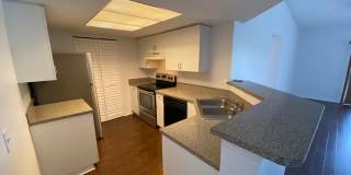 5025 Wiles Rd #303 5025 Wiles Rd #303 Gallery 1