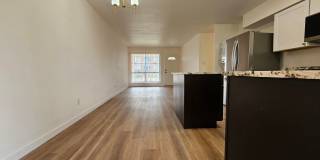 Lakewood Best Ever 3/2 Duplex All New Inside w/ Fenced Yard Gallery 3