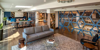 Watermark Buzzard Point Gallery 36