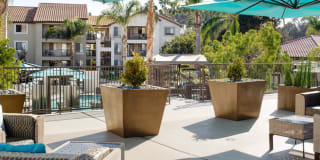 Avalon La Jolla Colony Gallery 30