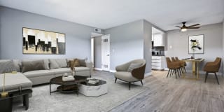 Monte Vista Gallery 5