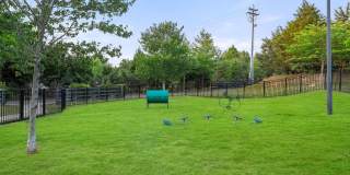 Providence Trail Gallery 16