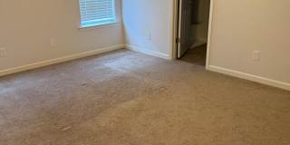 3 BR/2BA | Newly Renovated Single Family Home |Attached garage  | Fenced  backyard | In Cordova! Gallery 17