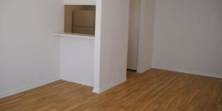 Coral Hills Gallery 10