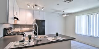 Larkspur Larkspur Gallery 13