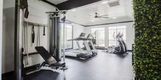 Preston Mill Gallery 21