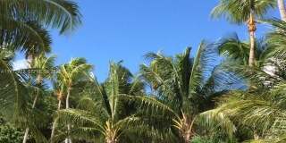 680 NE 64 ST Gallery 9