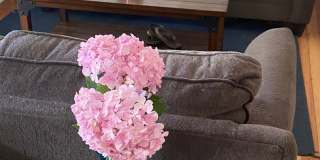 2-Bed, 1-Bath Cottage Gallery 7