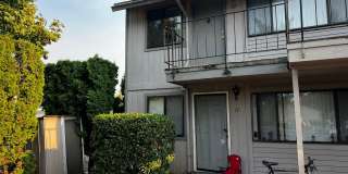 Willamette Green Apartments Gallery 7