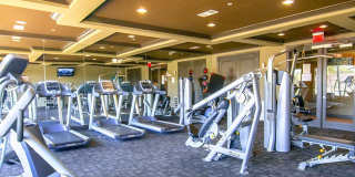 Anatole on Briarwood Gallery 28