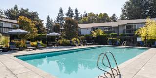 Alder Bellevue Gallery 17