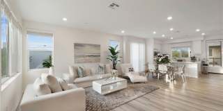 225 Steely Gallery 15