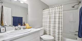 Compass Vista Gallery 24