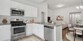 Poplin Trace Gallery 6