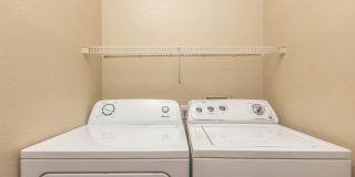 Vintage at Plantation Bay Gallery 56