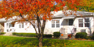 Beech Tree Gallery 1