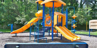 Flora Park Gallery 23