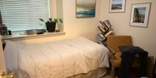 Cozy PG 3-Bedroom -- Large Fenced Yard Cozy PG 3-Bedroom -- Large Fenced Yard Gallery 9