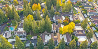 Rush River Gallery 44