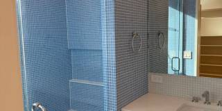 Silver Maple Stunning Gallery 30