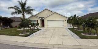 8046 Gopher Tortoise Trail Gallery 1