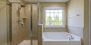 1608 Cascade Falls Lane Gallery 34