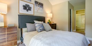 Americana Gallery 20