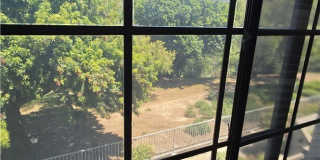 26 Morning Star Gallery 6
