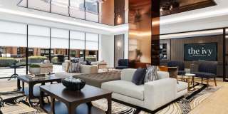 The Ivy Gallery 39