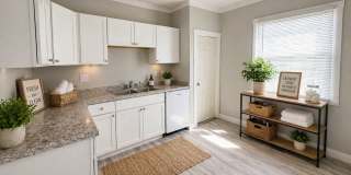 3 Bedrooms with Fenced In Yard + Garage Gallery 3