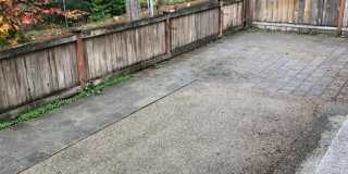Spacious Home in Desirable Fircrest Gallery 20