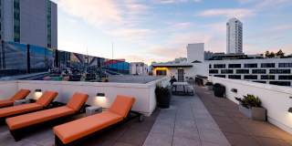 The Wilson Gallery 10