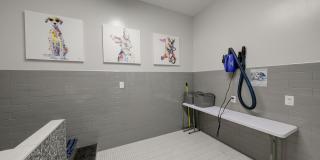 Owl Creek Gallery 12