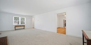 PINEWELL Gallery 16