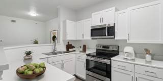 Harlan at Med Center Gallery 1