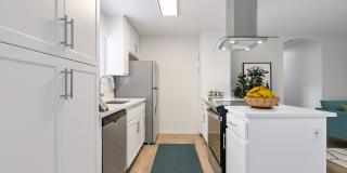 Vista Waterleaf Apartments Gallery 3