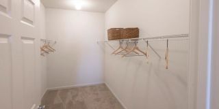 Trailside at Greenline Gallery 7