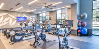 Cortland Oleander Gallery 52