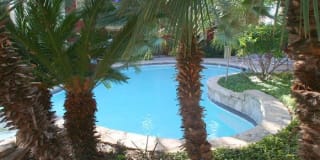 Rock Canyon Apartments Gallery 2