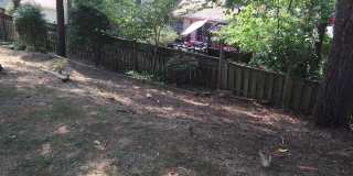7012 GALGATE Drive Gallery 41