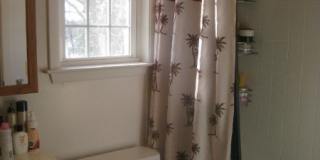 11 Evergreen Dr 11 Evergreen Dr Gallery 7