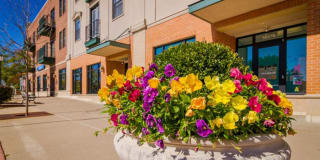 Uptown in Canton Gallery 13