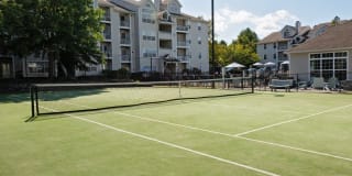 Town Walk at Hamden Hills Gallery 40