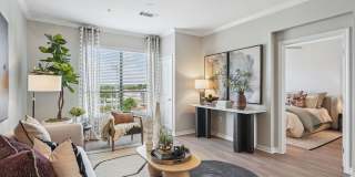 Elan at Bluffview Gallery 9