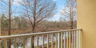 9040 WHITE SAGE LOOP Gallery 32