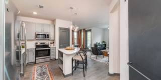 The Reserve at Venice Gallery 30