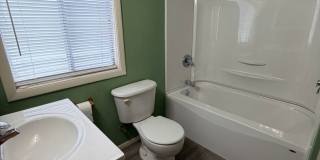 Newly Remodeled one bedroom house Gallery 1