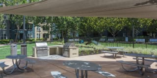 Avalon Silicon Valley Gallery 33