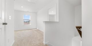 693 Barley Loop Gallery 23