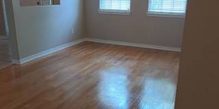 3413 Jasmine Trace Lane Gallery 14